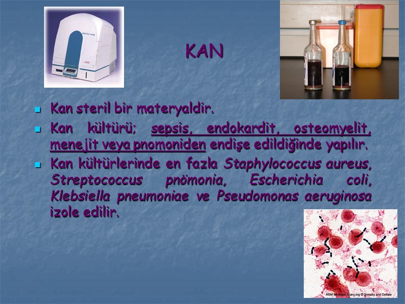 KAN Kan steril bir materyaldir. Kan kültürü; sepsis, endokardit, osteomyelit, menejit veya pnomoniden endişe